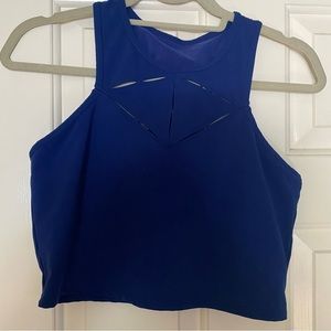 Fabletics sports bra